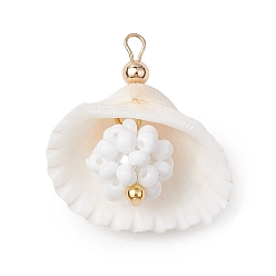 Белый Подвески из ракушек и стеклянных бусин, с латунной бисера, подвески в форме ракушек, реальный 18 k позолоченный, белые, 28x27x15 мм, отверстие : 2.5x2 мм