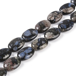 Glaucophane Бусы из натурального глаукофана, Плоско-овальные, 17~17.5x12.5~13x5~5.5 мм, отверстие : 1 мм, около 23 шт / нитка, 15.75 дюйм (40 см)