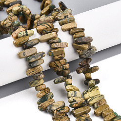 Gemstone Нити бусин из натурального камня вердит, самородки, 2.5~7x8~19.5x5~7 мм, отверстие : 0.8 мм, около 71~77 шт / нитка, 15.35~15.75'' (39~40 см)