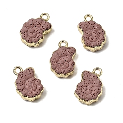Розово-Коричневый Подвески из окрашенного синтетического лавового камня, Подвески в форме раковины с латунной окантовкой, золотые, розово-коричневый, 20~21x13.5~14x7 мм, отверстие : 2 мм