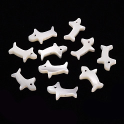 Морская Ракушка Натуральная оболочка, собака, цвет морской раковины, 9.5x15x2.5 мм, отверстие : 0.8 мм