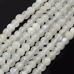 White Moonstone Натуральный белый лунный камень бисер пряди, круглые, 6 мм, отверстие : 1 мм, около 67 шт / нитка, 14.96'' (38 см)
