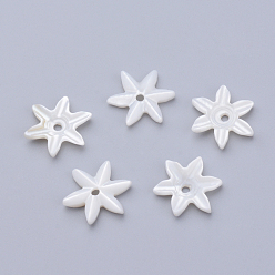 Creamy White Natural Freshwater Shell Beads, Flower, Creamy White, 14x12x3mm, Hole: 1mm
