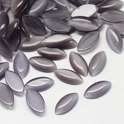 Gray Cat Eye Cabochons, Horse Eye, Gray, 15x7x2.5mm