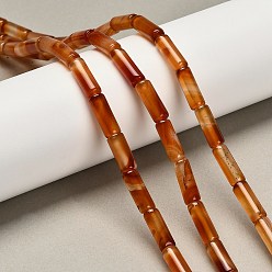 Шоколадный Окрашенные естественный агат бисер пряди, колонка, цвет шоколада, 15.5~16x6~6.5 мм, отверстие : 1 мм, около 24~25 шт / нитка, 14.96~15.35'' (38~39 см)