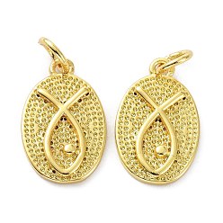 Настоящее золото 18K Латунные подвески, с целью перехода в кольце, долговечный, , овальные с рыбой, реальный 18 k позолоченный, 16x10x2 мм, отверстие : 3 мм