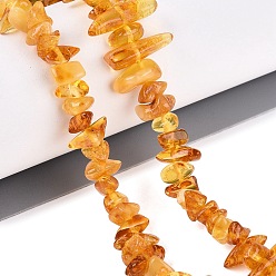 Amber Natural Amber Beads Strands, Chip, 4.5~18x4~8.5x3~6mm, Hole: 0.6~0.7mm, about 106pcs/strand, 14.96 inch(38cm)