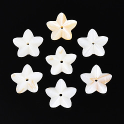 Морская Ракушка Естественных пресноводных стеклянные бусы, цветок, цвет морской раковины, 16.5x16.5x3 мм, отверстие : 1.5 мм