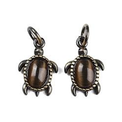 Кокосово-Коричневый Латунные подвески, с кошачьим глазом и прыгающим кольцом, без свинца и без кадмия, античная бронза, Морская черепаха, кокосового коричневый, 16x10.5x4 мм, отверстие : 3.5 мм