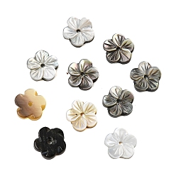 черная губная раковина Натуральные черные резные бусины из ракушек, цветок, 7.5~8x8x2~2.5 мм, отверстие : 0.8 мм