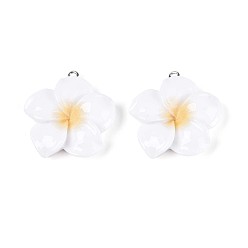 Белый Непрозрачные подвески смолы, цветок с платиновой железной петлей, белые, 34~35x30~31.5x7.5~8 мм, отверстие : 2 мм
