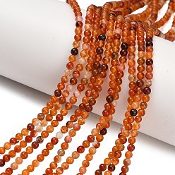 Натуральный Агат Природный агат бисер нитей, круглые, 3~3.5 мм, отверстие : 0.7 мм, около 135~139 шт / нитка, 14.76''~14.96'' (37.5~38 см)