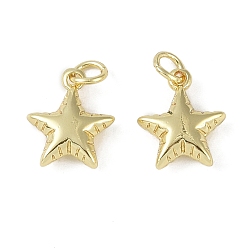 Star Brass Pendant with Jump Ring, Heart/Star Charm, Star, 13.5x11x4mm, Hole: 3mm