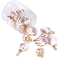 Spiral Shell Electroplate Spiral Shell Pendants, with Iron Findings, Conch, Golden, 27~40x15~24x13~21mm, Hole: 2mm, 15pcs/box