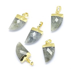 Labradorite Natural Labradorite Pendants, with Long-Lasting Plated Brass Findings, Faceted, Scabbard, Golden, 19.5x11x5mm, Hole: 3.5x5.5mm