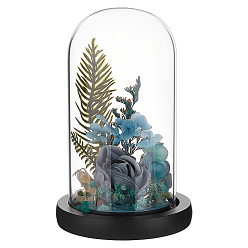 Noir Couvercle de dôme en verre en arc, vitrine décorative, terrarium cloche cloche avec base en bois, noir, 103x162mm