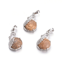 Пейзажный Джаспер Естественного изображения яшмы подвески, с латунной фурнитурой платинового цвета, лебедь, 30.8x18.8x8.5 мм, отверстие : 7x5 мм