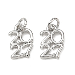Platine Charmes en laiton, nombre 2027 charmes, sans cadmium et sans plomb, crémaillère plaquage, plaqué longue durée, platine, 13.5x9x2mm, Trou: 3.5mm