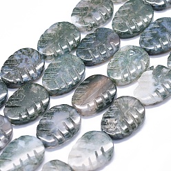 Moss Agate Natural Moss Agate Beads Strands, Leaf, 19~20x14.5~15x3.5~4mm, Hole: 0.8~1mm, about 20pcs/strand, 15.7 inch(40cm)