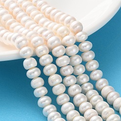 Желтая Старая Ткань  Нити из натурального культивированного пресноводного жемчуга, рондель, класс 2а++, старое кружево, 7~8 мм, отверстие : 0.7~0.8 мм, около 61~82 шт / нитка, 13.46''~14.69'' (34.2~37.3 см)