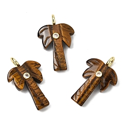 Тигровый глаз Резные подвески из натурального тигрового глаза, Подвески в виде кокосовых пальм с фурнитурой из прозрачных кубических цирконий, инкрустированной латунью методом микропаве., золотые, стойки покрытие, 35~36x21.5~22x0.5 мм, отверстие : 3.7 мм