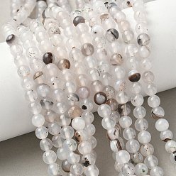 Дендритный Агат Нити из натурального дендритного агата, класса AB, круглые, 6 мм, отверстие : 1.2 мм, около 62~64 шт / нитка, 14.57'' (37 см)