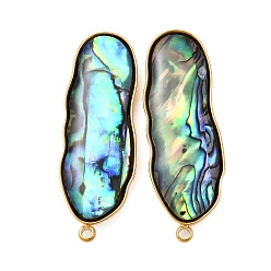 Настоящее золото 18K 304 фурнитура для сережек-гвоздиков из натуральной ракушки пауа из нержавеющей стали, овальные, ионное покрытие (ip), реальный 18 k позолоченный, 37x13 мм, отверстие : 1.6 мм, штифты : 1 мм