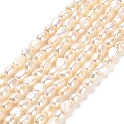 Linen Natural Cultured Freshwater Pearl Beads Strands, Two Sides Polished, Grade 4A, Linen, 3~4x4.5~5mm, Hole: 0.5mm, about 70pcs/strand, 14.17''~14.57''(36~37cm)