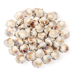 Бежевый Ручной работы яркие остеклением шарики фарфора, формы раковины, бежевые, 12 мм, отверстие : 1.8 мм, 5 шт / комплект