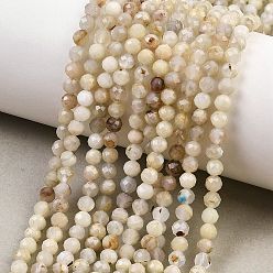 White Moonstone Натуральный белый лунный камень бисер пряди, круглые, граненые, 4 мм, отверстие : 0.7 мм, около 94 шт / нитка, 14.96'' (38 см)