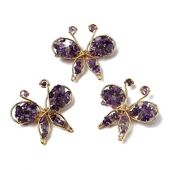 Аметист Брошь-бабочка из натурального аметиста, латунные и железные булавки для одежды, золотые, 45~47x48~50 мм