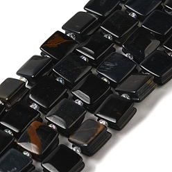 Тигровый глаз Натуральный голубой тигровый глаз бисер нитей, окрашенная и подогревом, квадратный, с бисером, 10~10.5x10~10.5x5~5.5 мм, отверстие : 1.6 мм, около 32 шт / нитка, 15.16~15.35 дюйм (38.5~39 см)