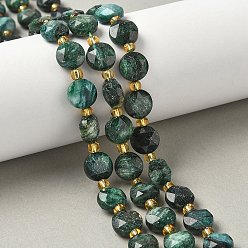 Fuchsite Бусины из натурального фуксита, граненый шестиугольный разрез, плоско-круглые, с бисером, 10~10.5x5.5~6 мм, отверстие : 1.2 мм, около 28~29 шт / нитка, 14.29~14.65'' (36.3~37.2 см)