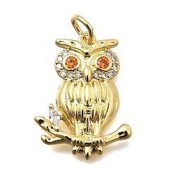 Настоящее золото 18K Латунные микро проложить кубического циркония подвески, сова прелести, долговечный, без свинца и без кадмия, стойки покрытие, с целью перехода в кольце, реальный 18 k позолоченный, 19.5x14.5x3 мм, отверстие : 3 мм
