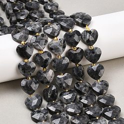 Larvikite Натуральные нити бус из ларвикита, граненое сердце, с бисером, 13~13.5x14~14.5x6~6.5 мм, отверстие : 1~1.2 мм, около 28 шт / нитка, 15.67 дюйм (39.8 см)