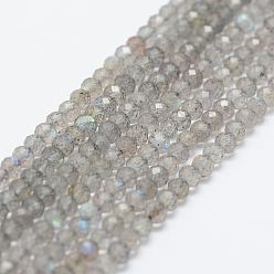 Лабрадорита Естественно лабрадорита шарик нити, граненые, круглые, 3 мм, отверстие : 0.5 мм, около 120~124 шт / нитка, 12.8 дюйм (325 мм)