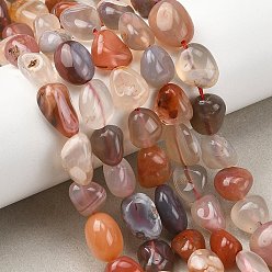 Натуральный Агат Природный агат бисер нитей, самородки, упавший камень, 9~12x8~10x3~9 мм, отверстие : 1 мм, около 36~41 шт / нитка, 15.08''~15.87'' (38.3~40.3 см)