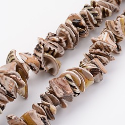 Camel Natural Shell Bead Strands, Dyed, Nuggets, Camel, 10~20x8~12x3~6mm, Hole: 1mm, about 15.7 inch