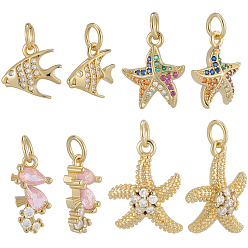 Mixed Shapes 12 шт. 4 кулоны из латуни с микропаве и кубическим цирконием, морские животные амулеты, реальный 16 k позолоченный, с целью перехода в кольце, разнообразные, 14.5~20.5x7~14x2~4.5 мм, отверстие : 3 мм, 3 шт / стиль