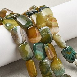 Цвет Оливы Натуральные полосатые агатовые бусы, окрашенная и подогревом, прямоугольные, оливковый, 18x13x5 мм, отверстие : 1 мм, около 10~11 шт / нитка, 7.28''~7.87'' (18.5~20 см)