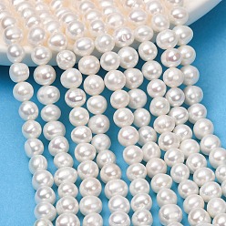 Old Lace Natural Cultured Freshwater Pearl Beads Strands, Potato, Grade 4A+, Old Lace, 7~8mm, Hole: 0.5mm, about 50~59pcs/strand, 13.58''(34.5cm)