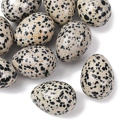 Далматинских Джаспер Натуральный далматинский яшмовый камень в форме яйца, Целебный карманный камень для ладони, для снятия тревоги, медитации, пасхального декора., 29.5~30.5x21.5~22 мм