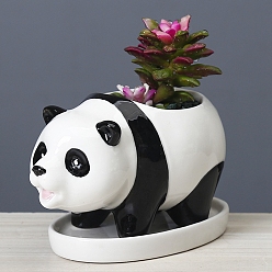 White Cute Panda Succulent Planter Pots, Ceramic Flower Cactus Holder, for Indoor Plants, White, 145x78x86mm, Inner Diameter: 50x65mm