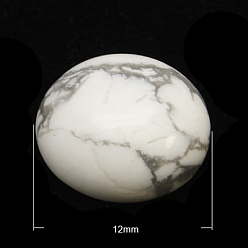 Говлит Кабошоны из камня, полукруглые / купольные, Говлит, 12x5 мм