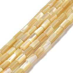 Trochus Shell Natural Trochus Shell Beads Strands, Column, 4.5~5x3mm, Hole: 0.8mm, about 81pcs/strand, 15.47''(39.3cm)
