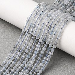 Аквамарин Природные Аквамарин бисер нитей, граненые, круглые, 3 мм, отверстие : 0.5 мм, около 132 шт / нитка, 15.7 дюйм (40 см)