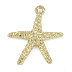 Морская звезда Подвески из сплава серии Ocean, золотые, морская звезда, 25x22.5x2.5 мм, отверстие : 1.7 мм