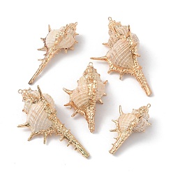 Белый Гальванические спиральные оболочки большие подвески, Окрашенные распылением подвески в виде ракушек с железными петлями с покрытием из светлого золота, белые, 50~92x27~44x26~32 мм, отверстие : 1.5~2 мм