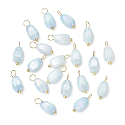 Светло-Синий 20 шт. непрозрачные стеклянные подвески с эффектом кракле, окрашенные методом выпечки, семена дыни, с медными петлями, золотые, граненые, голубой, 13.5x6x4.5 мм, отверстие : 3 мм, 20 шт / комплект