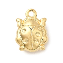 Настоящее золото 18K 304 прелести нержавеющей стали, жук прелести, реальный 18 k позолоченный, 14x10.5x5 мм, отверстие : 1 мм